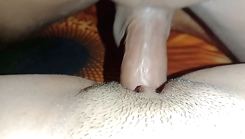 Indian girl with big natural boobs fucked in amateur video